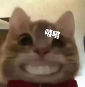 嘻嘻